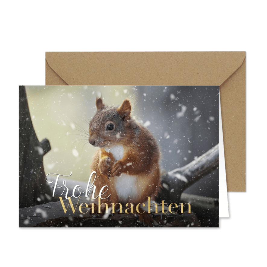 Foto-Weihnachtskarte Eichhörnchen - Karteneindruck