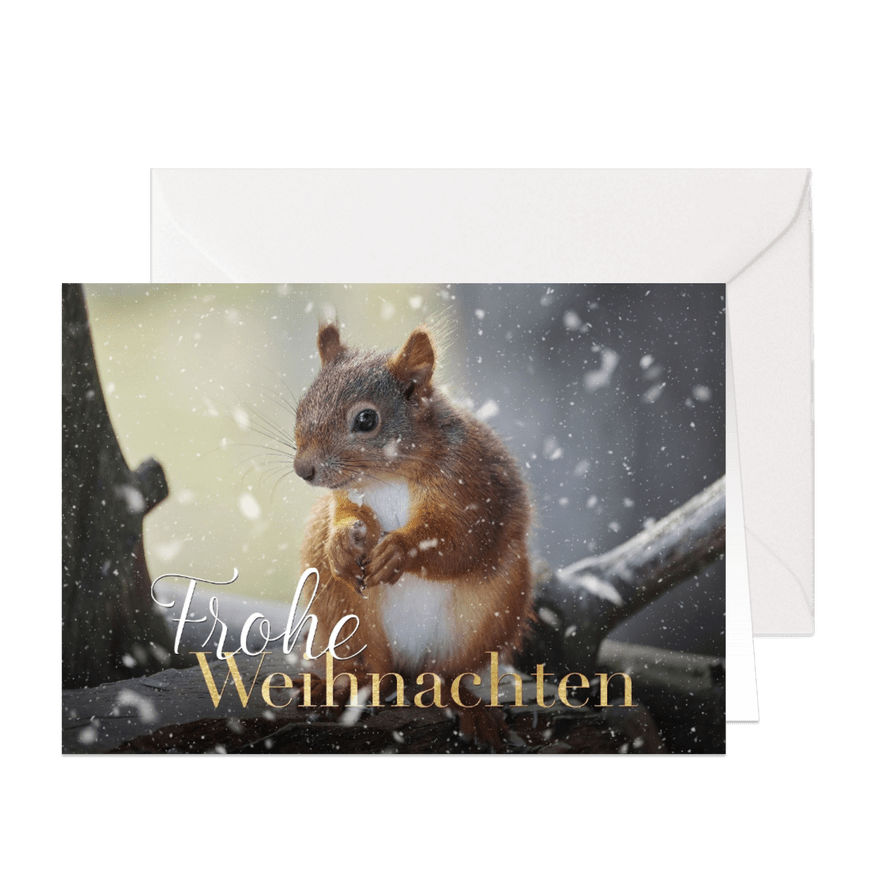 Foto-Weihnachtskarte Eichhörnchen - Karteneindruck
