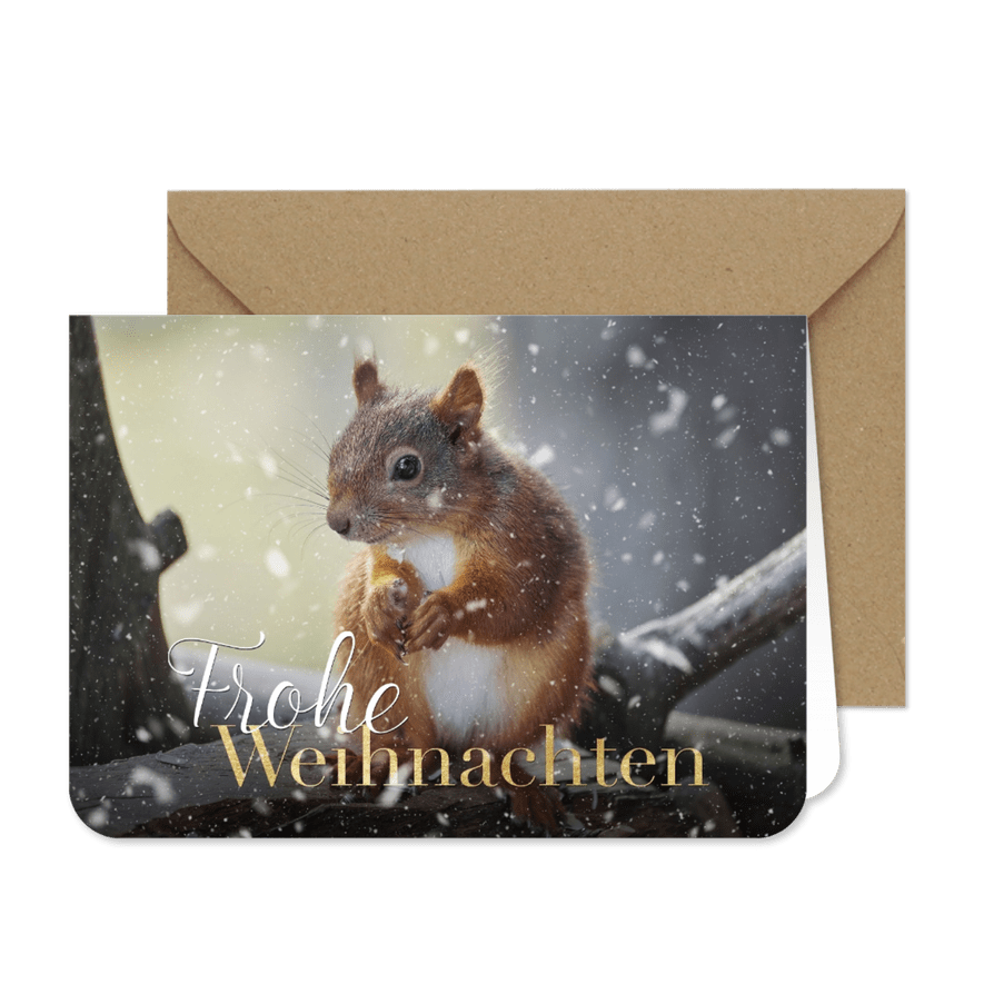 Foto-Weihnachtskarte Eichhörnchen - Karteneindruck