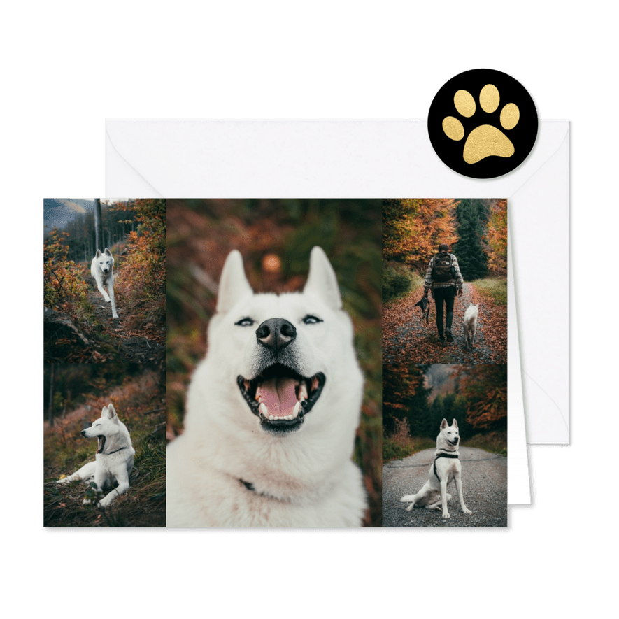 Fotokarte Hund - Karteneindruck