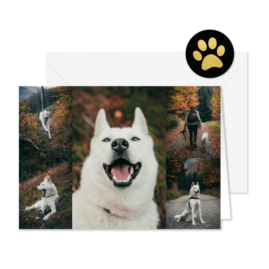 Fotokarte Hund - Karteneindruck
