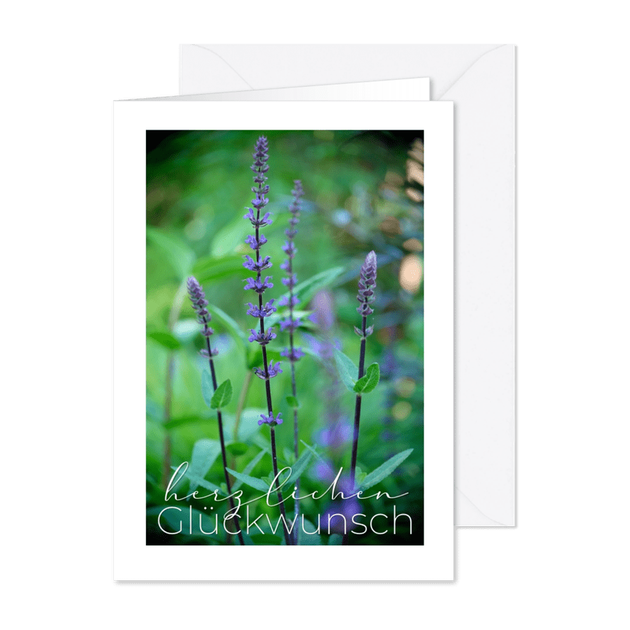 Geburtstagskarte Naturfoto lila Blumen - Karteneindruck