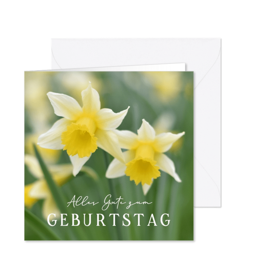 Geburtstagskarte Naturfotografie Narzissen - Karteneindruck