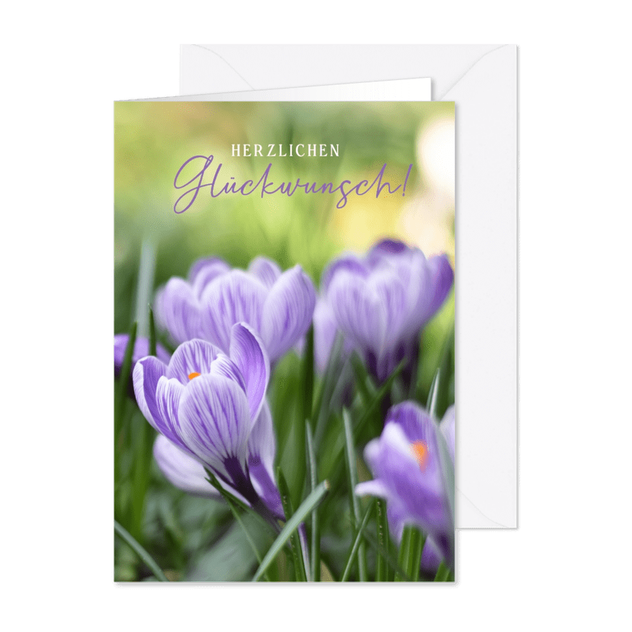 Glückwunschkarte Geburtstag Krokusse Naturfoto - Karteneindruck
