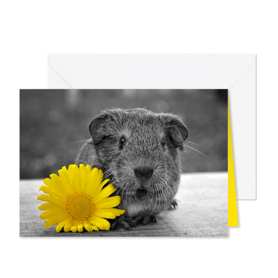 Grußkarte Blume mit Meerschweinchen - Karteneindruck