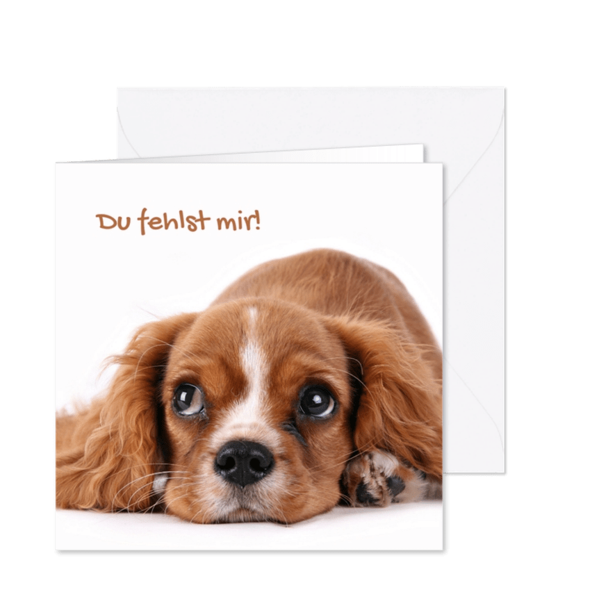 Grußkarte 'Du fehlst mir' mit Hund - Karteneindruck