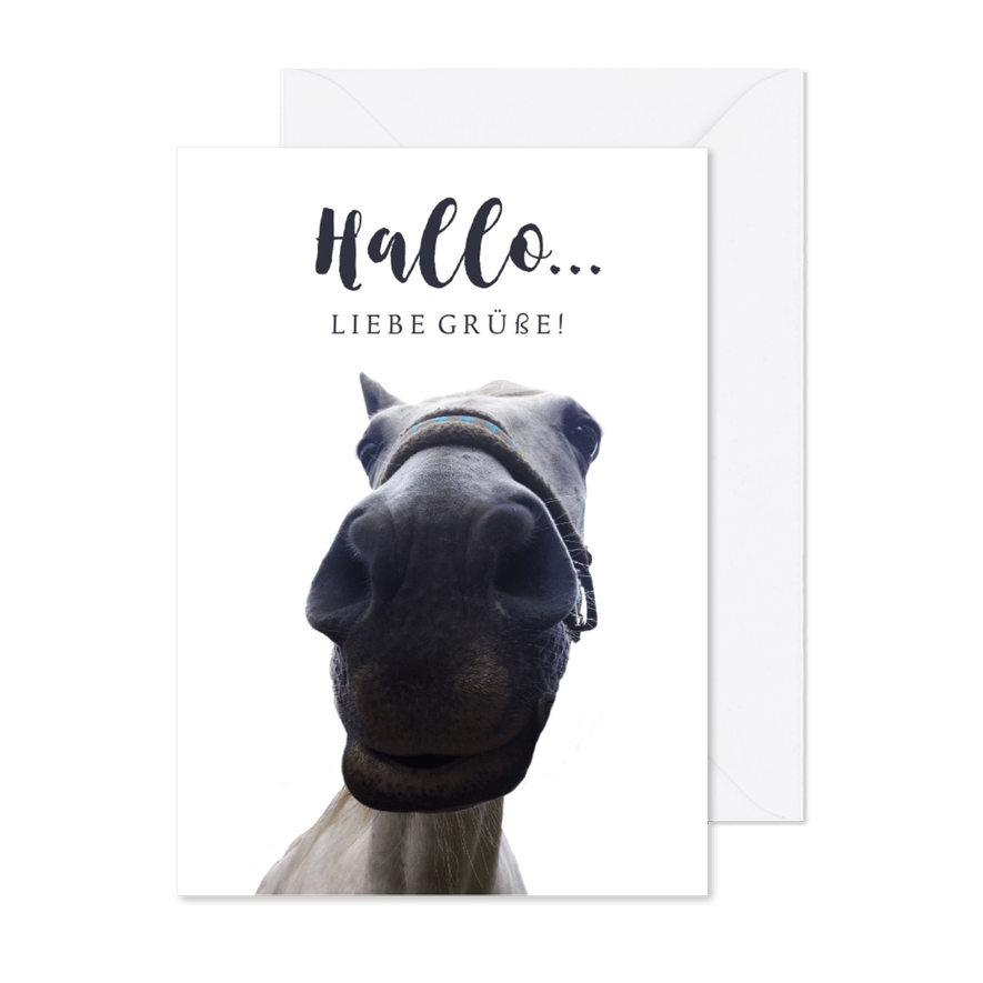 Grußkarte lustiges Pferd - Karteneindruck
