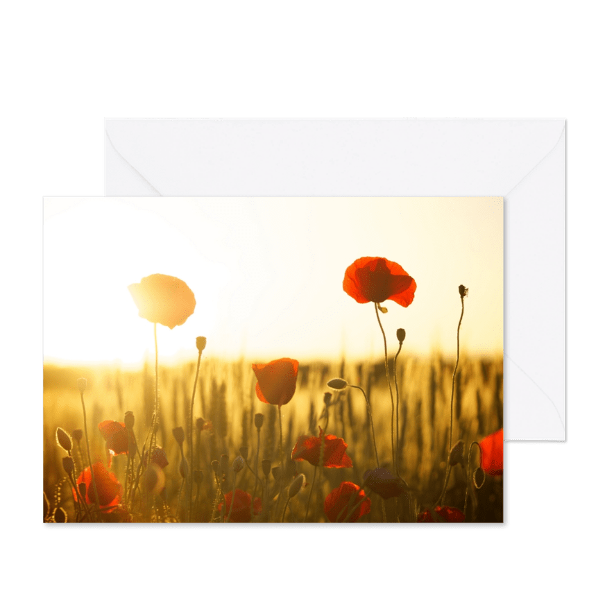 Grußkarte mit Mohnblumen - Karteneindruck