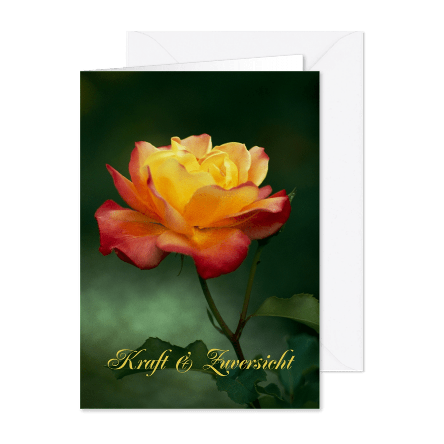 Grußkarte mit Rose Kraft & Zuversicht - Karteneindruck