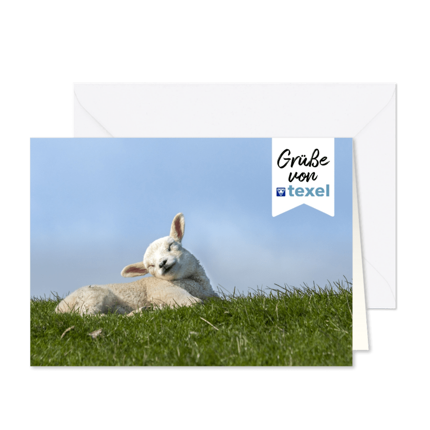 Lamm von Texel - Karteneindruck
