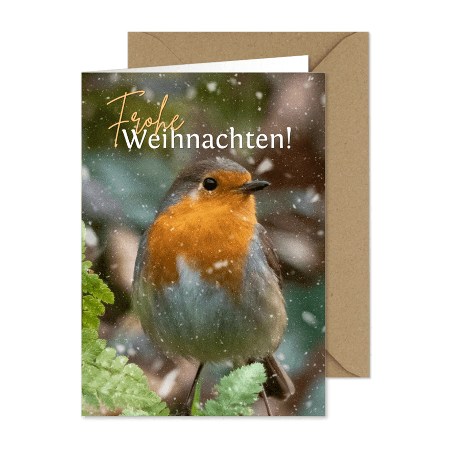 Weihnachts-Fotokarte Rotkehlchen - Karteneindruck