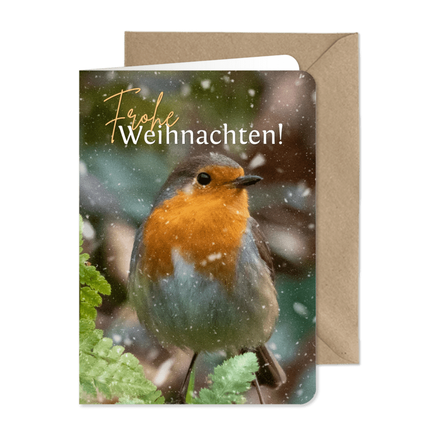 Weihnachts-Fotokarte Rotkehlchen - Karteneindruck
