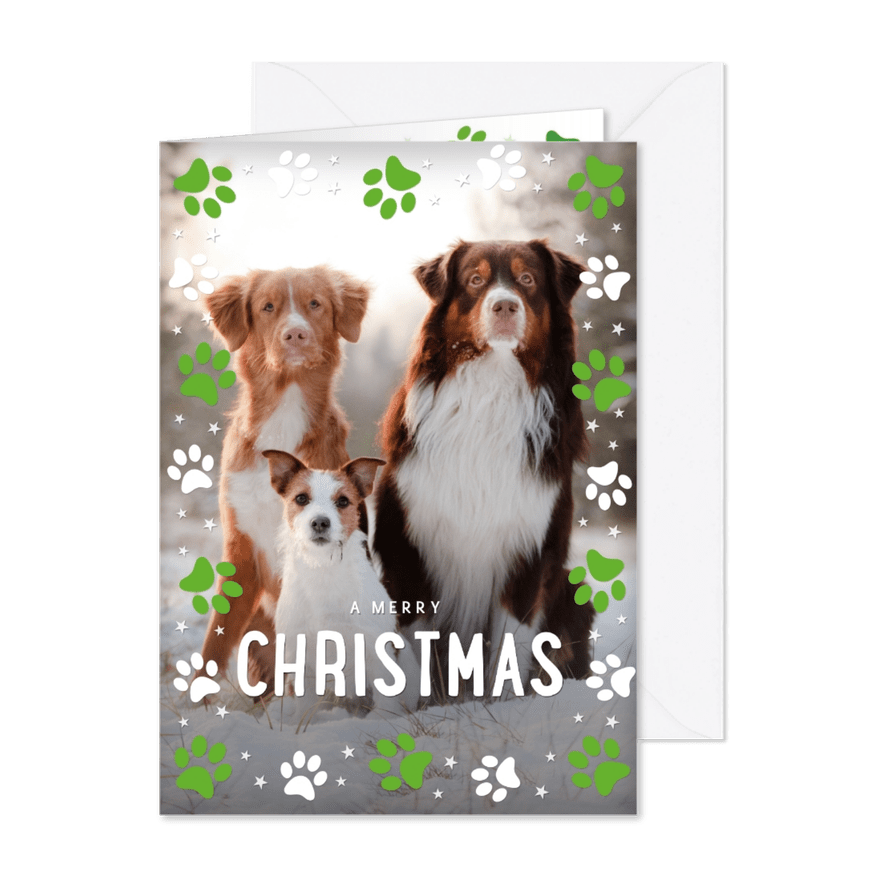 Weihnachtsgrüße mit großem Foto und Hundepfoten - Karteneindruck
