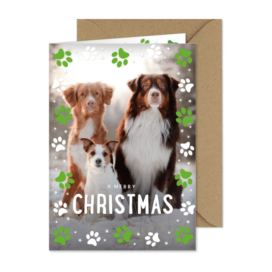 Weihnachtsgrüße mit großem Foto und Hundepfoten - Karteneindruck