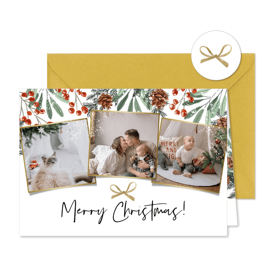 Weihnachtskarte botanisch Bilderreihe - Karteneindruck