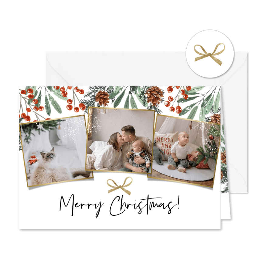 Weihnachtskarte botanisch Bilderreihe - Karteneindruck
