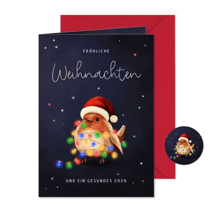 Weihnachtskarte bunte Lichterkette Rotkehlchen mit Mütze - Karteneindruck