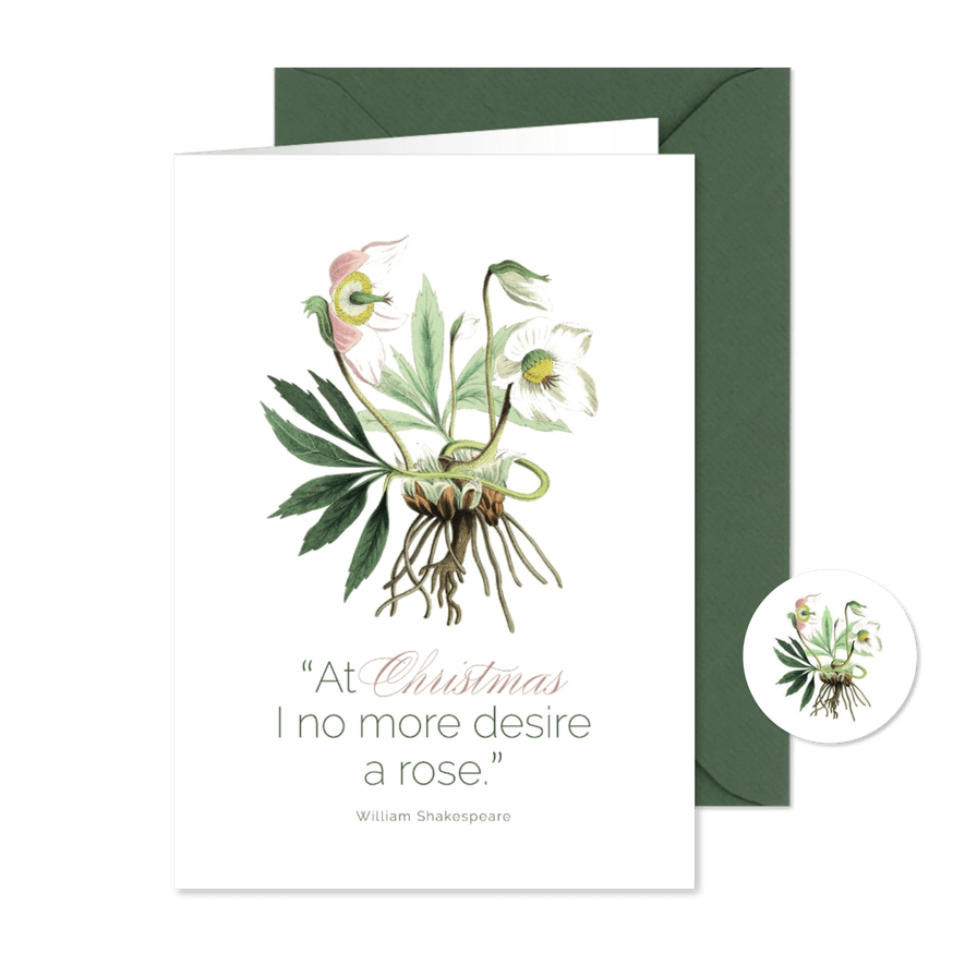 Weihnachtskarte Christrose botanisch - Karteneindruck
