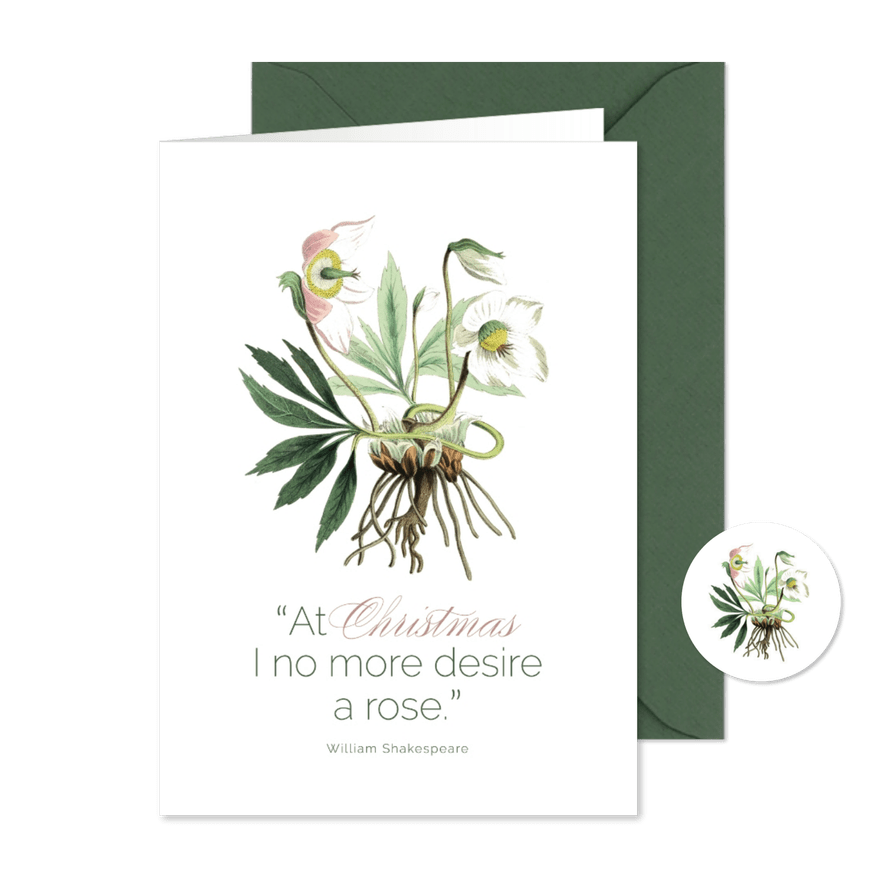 Weihnachtskarte Christrose botanisch - Karteneindruck
