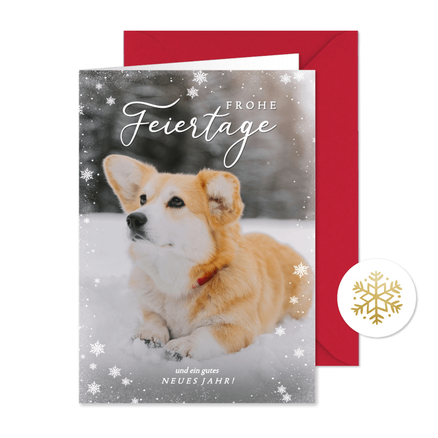 Weihnachtskarte eigenes Foto Hund im Schnee - Karteneindruck
