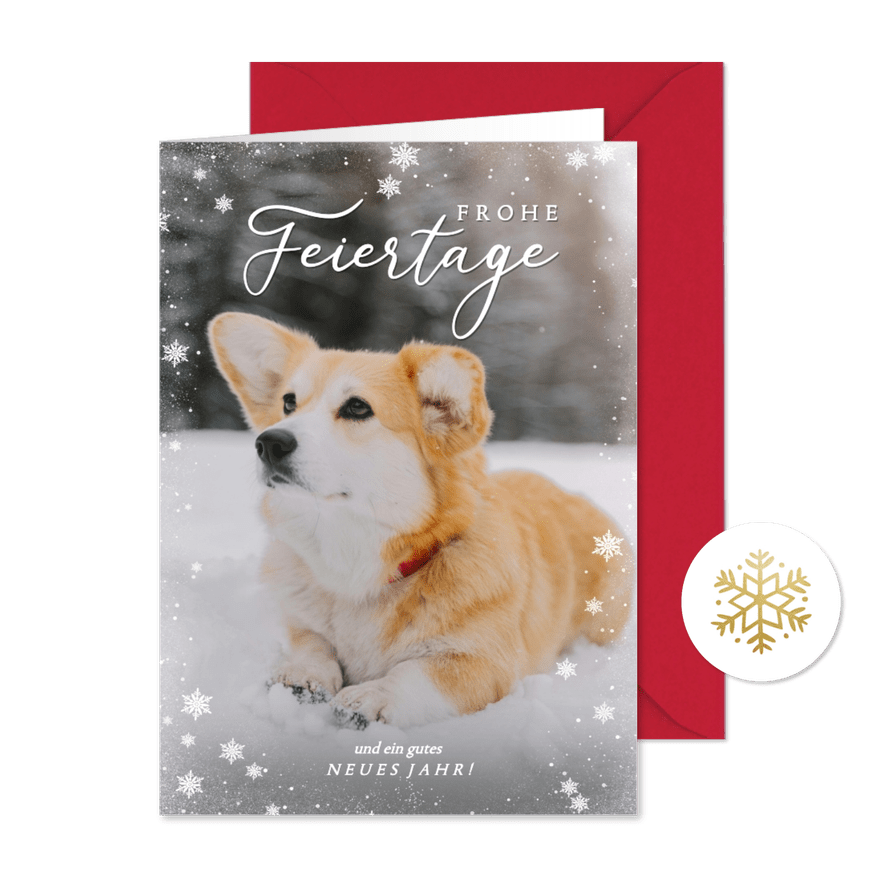Weihnachtskarte eigenes Foto Hund im Schnee - Karteneindruck