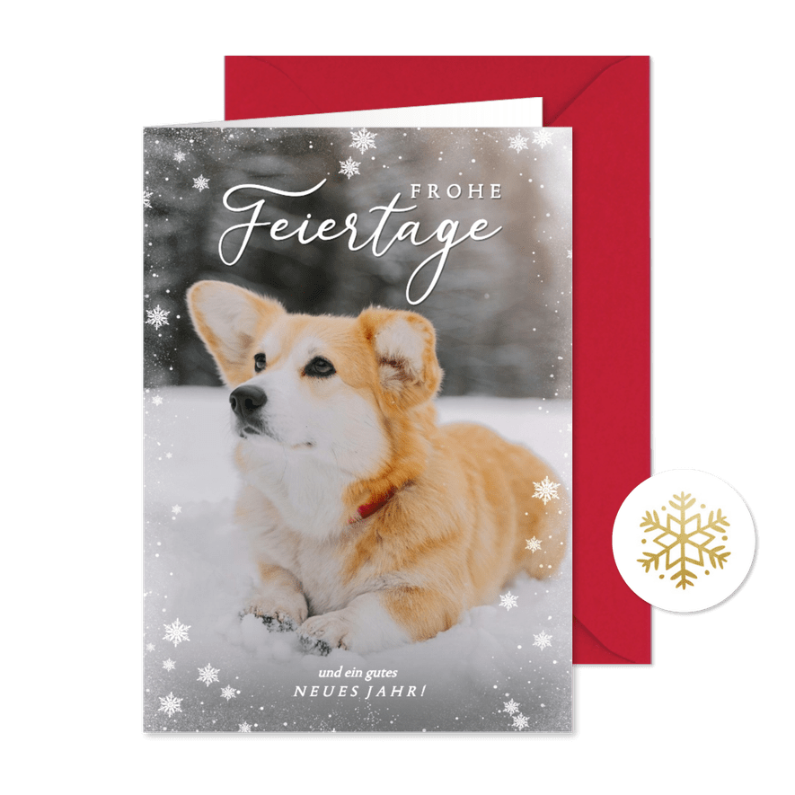 Weihnachtskarte eigenes Foto Hund im Schnee - Kartenvorschau