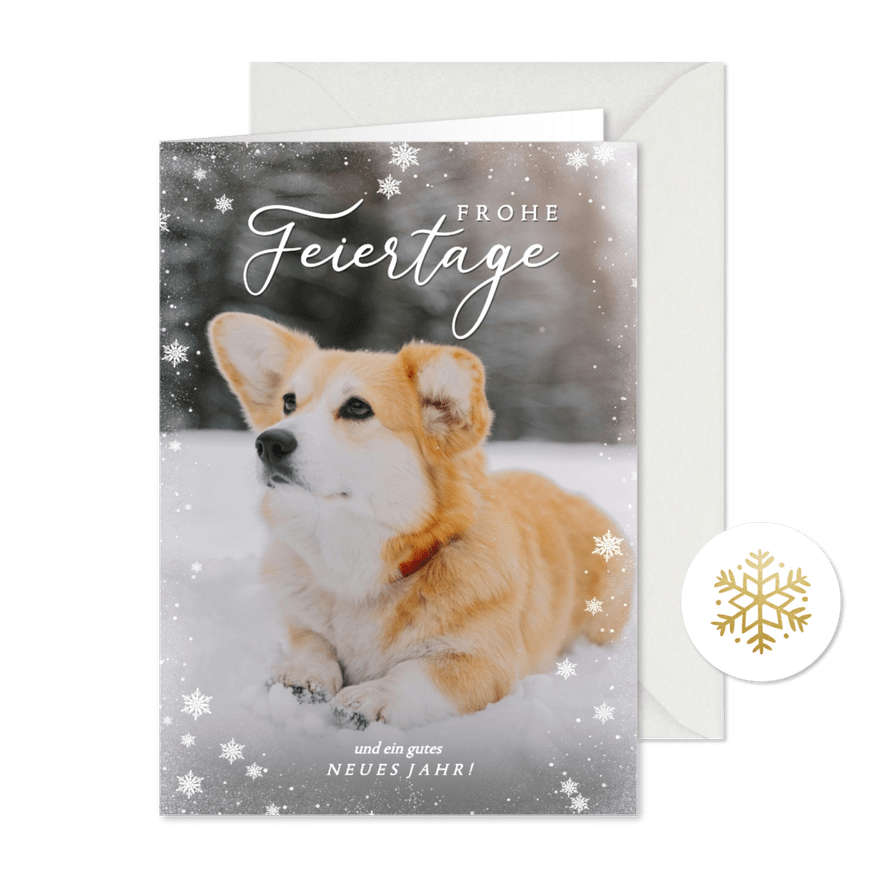Weihnachtskarte eigenes Foto Hund im Schnee - Karteneindruck