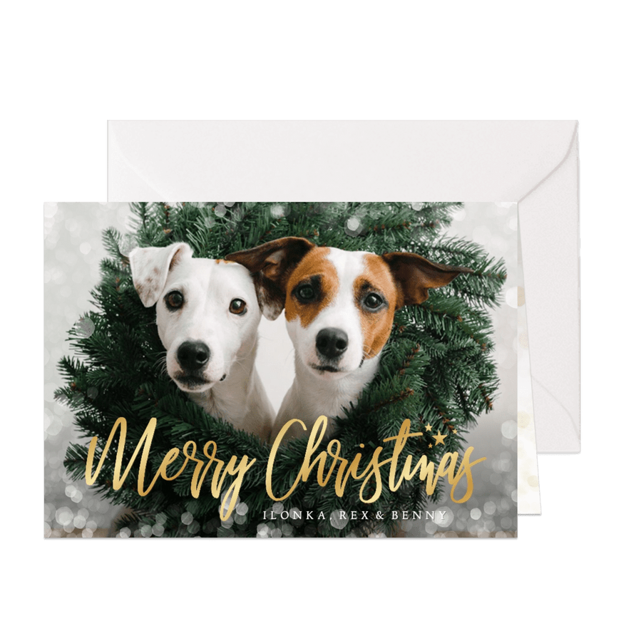 Weihnachtskarte eigenes Foto Hunde - Karteneindruck
