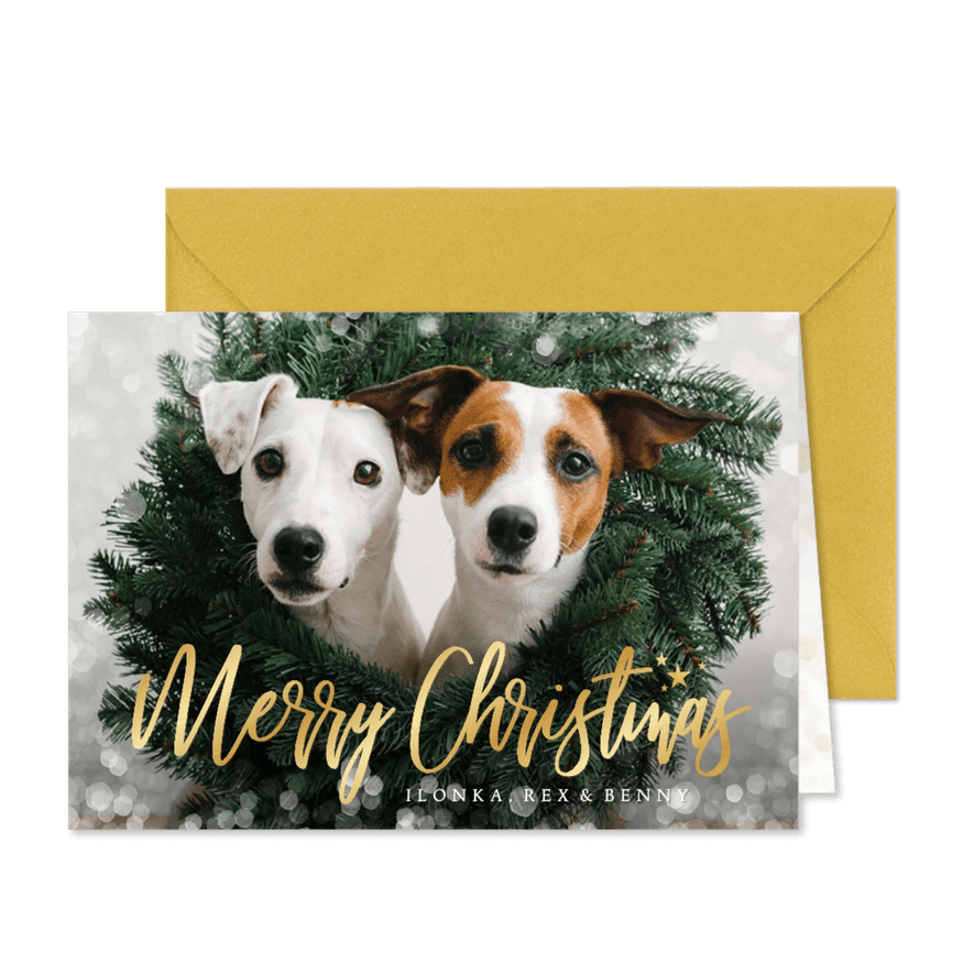 Weihnachtskarte eigenes Foto Hunde - Karteneindruck
