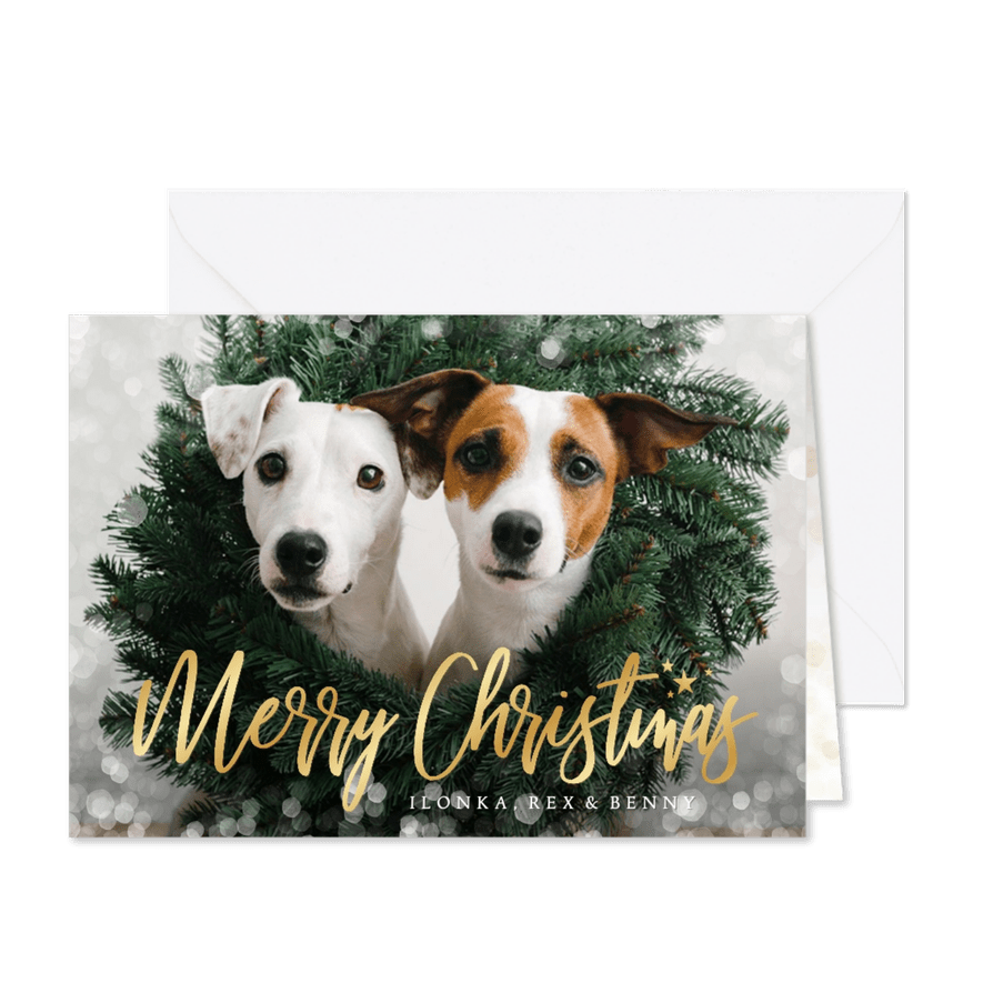 Weihnachtskarte eigenes Foto Hunde - Karteneindruck