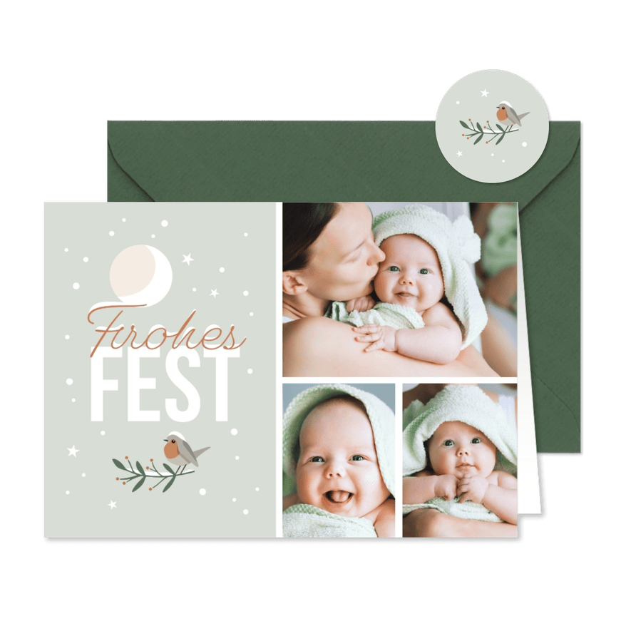 Weihnachtskarte Fotos, Mond & Rotkehlchen - Karteneindruck