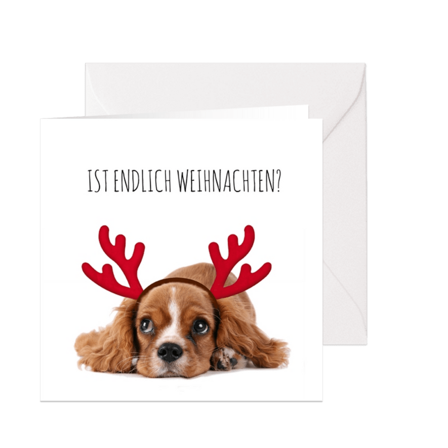 Weihnachtskarte Hund Welpe mit Hirschgeweih - Karteneindruck
