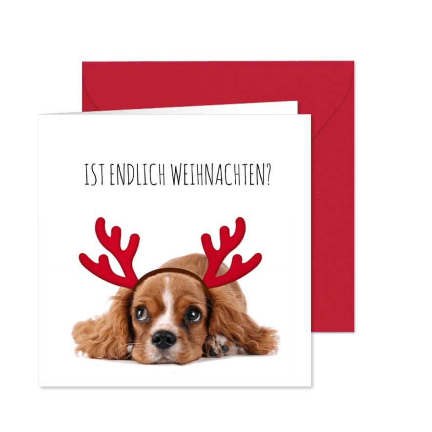 Weihnachtskarte Hund Welpe mit Hirschgeweih - Karteneindruck
