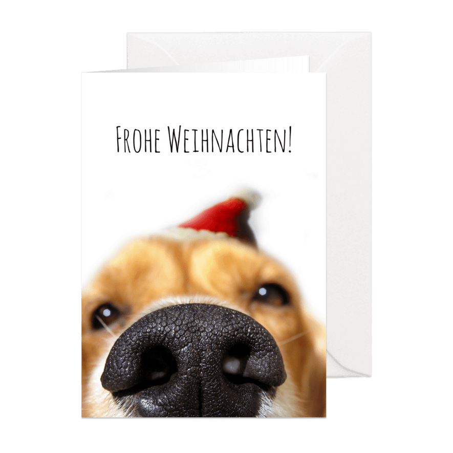 Weihnachtskarte Hundeschnauze mit Weihnachtsmütze - Karteneindruck
