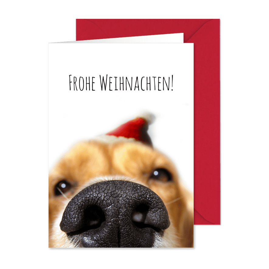 Weihnachtskarte Hundeschnauze mit Weihnachtsmütze - Karteneindruck
