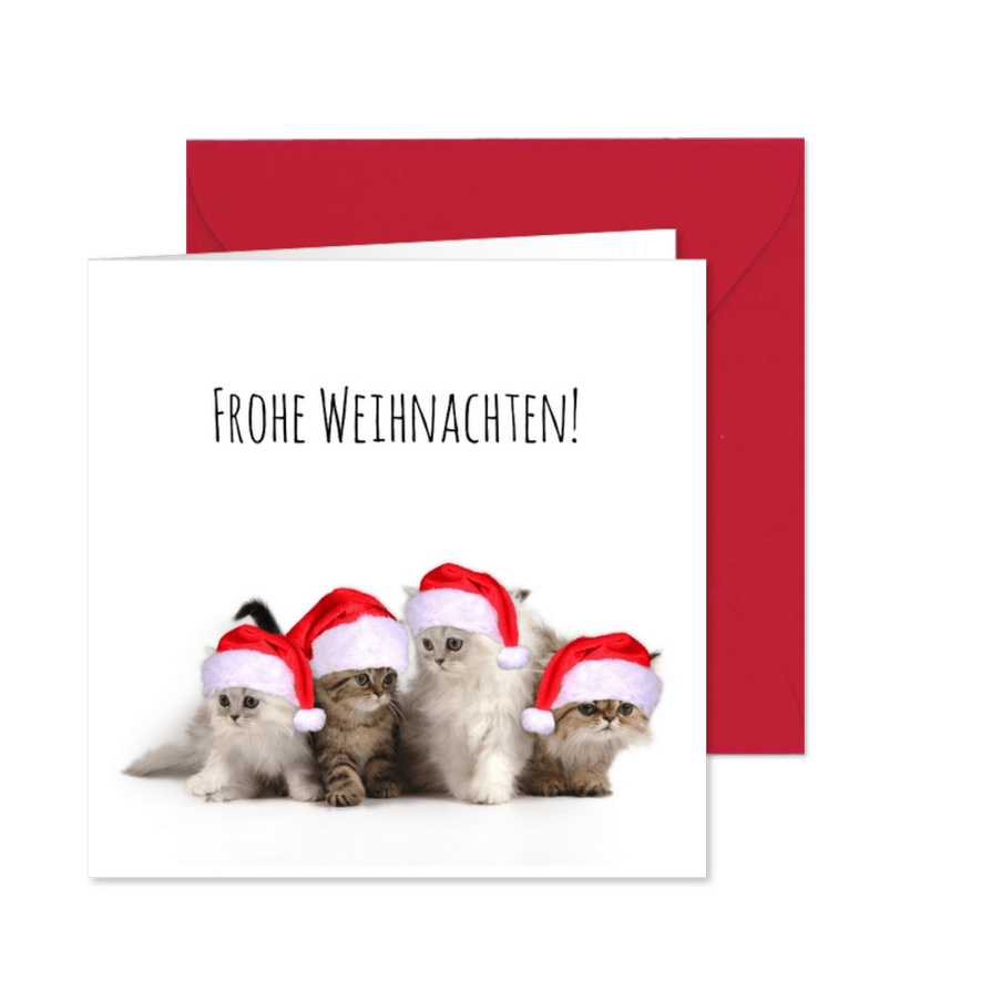 Weihnachtskarte Katzen mit Weihnachtsmützen - Kartenvorschau