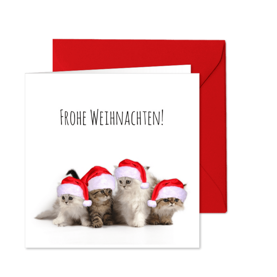 Weihnachtskarte Katzen mit Weihnachtsmützen - Karteneindruck
