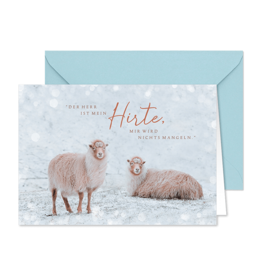 Weihnachtskarte Schafe im Schnee - Karteneindruck