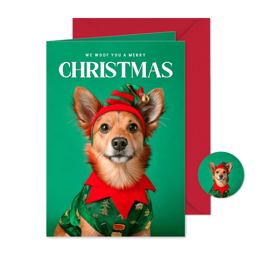 Weihnachtskarte Weihnachtself Hund mit Mütze - Karteneindruck