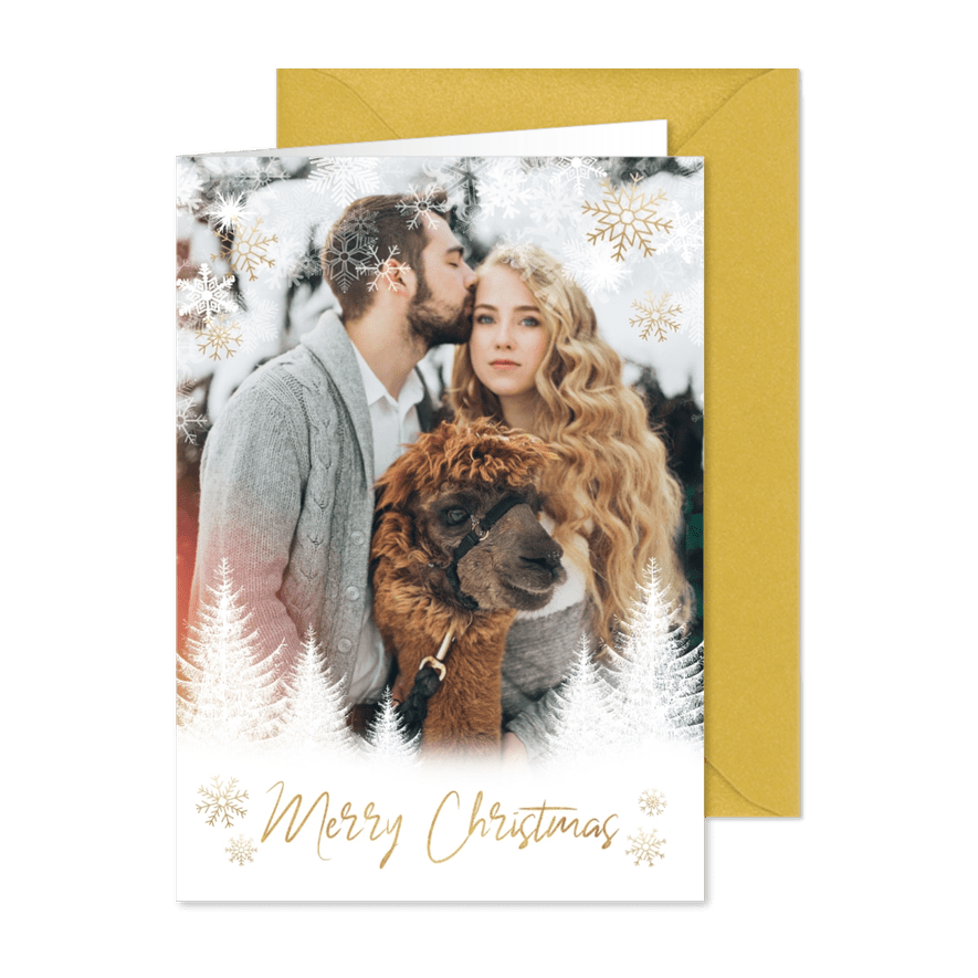 Weihnachtskarte winterlich mit Foto und Schneeflocken - Karteneindruck
