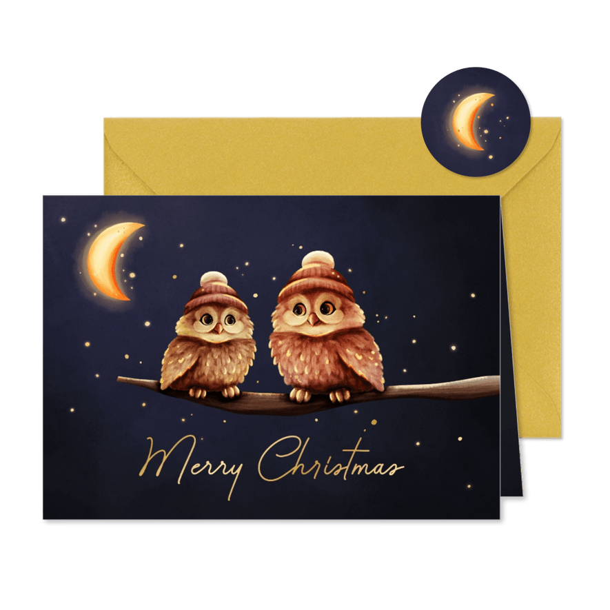 Weihnachtskarte zwei Eulen mit Mütze 'Merry Christmas' - Karteneindruck