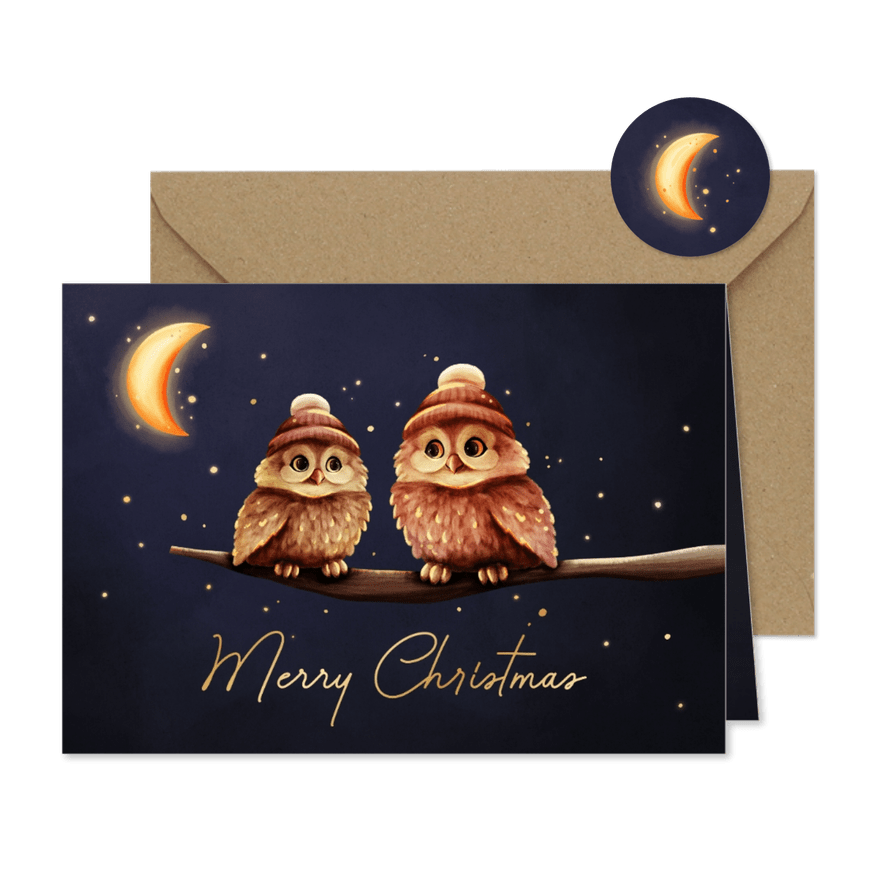 Weihnachtskarte zwei Eulen mit Mütze 'Merry Christmas' - Karteneindruck
