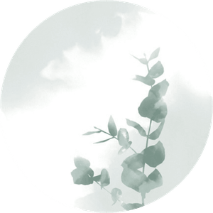 Aufkleber mit Eukalyptus in Aquarelloptik