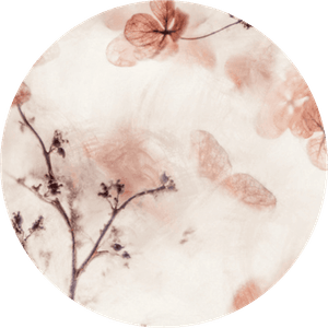 Aufkleber mit Hortensienblüten in Aquarelloptik